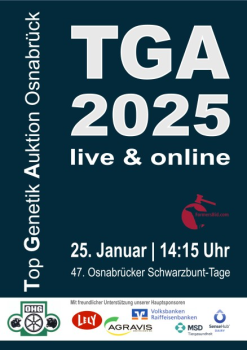 Top Genetik Auktion 2025